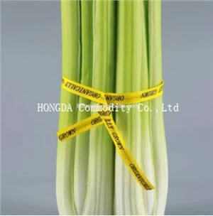 Printed PET Vegetable Twist Tie